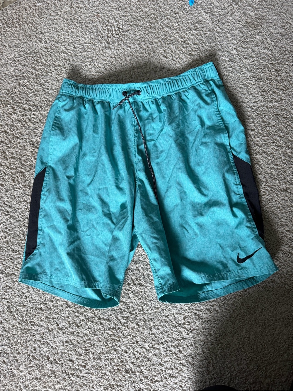 Nike Men's Teal Swim Shorts with Black Accents